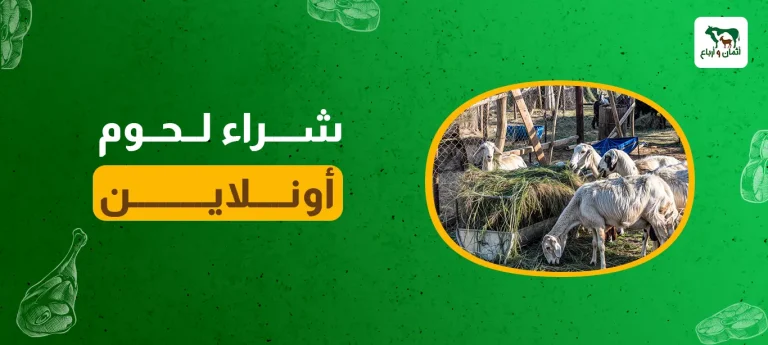 شراء لحوم أونلاين
