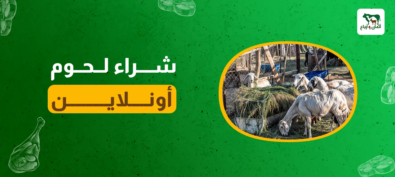 شراء لحوم أونلاين