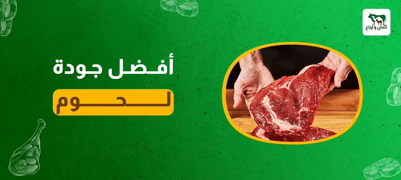أفضل جودة لحوم