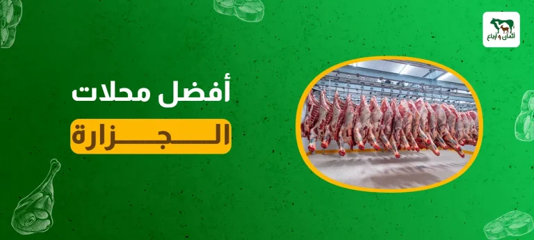 أفضل محلات الجزارة