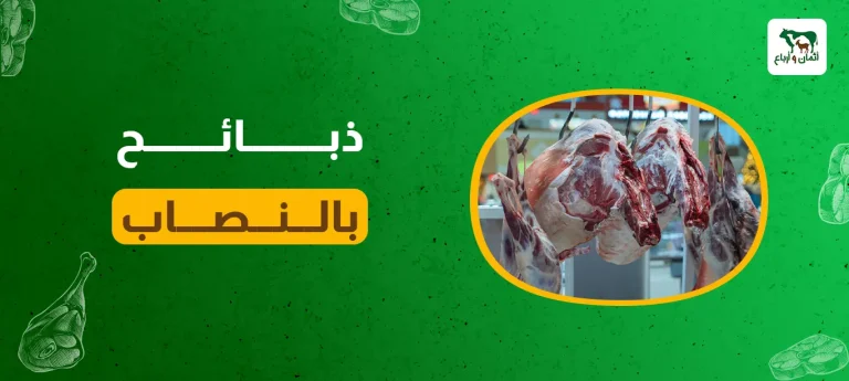 ذبائح بالنصاب