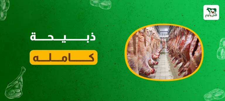 ذبيحة كامله