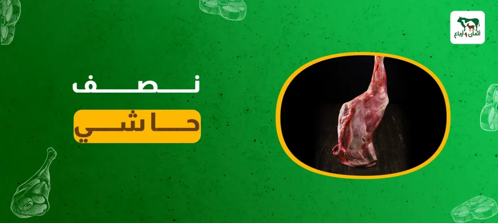 نصف حاشي