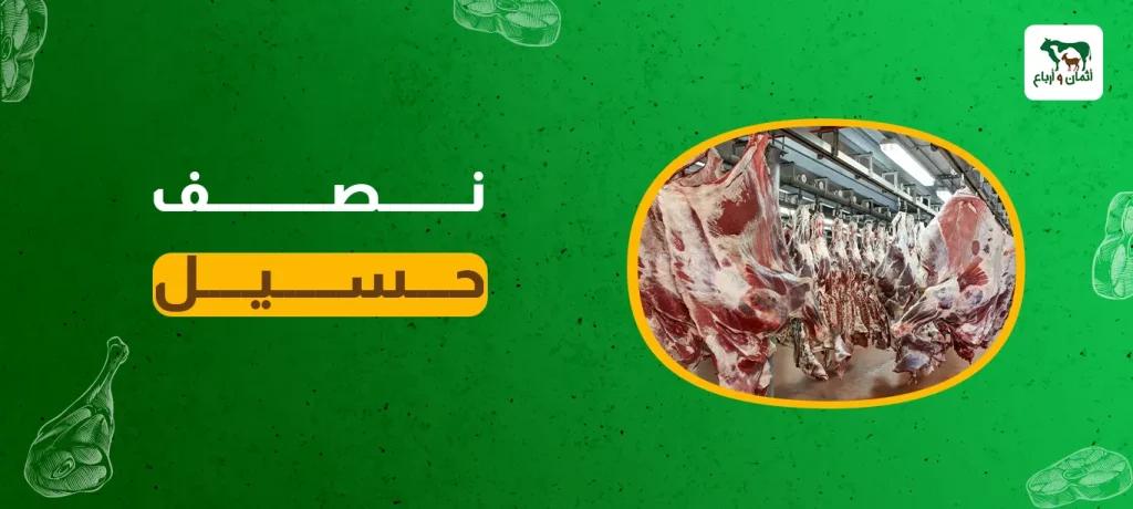 نصف حسيل