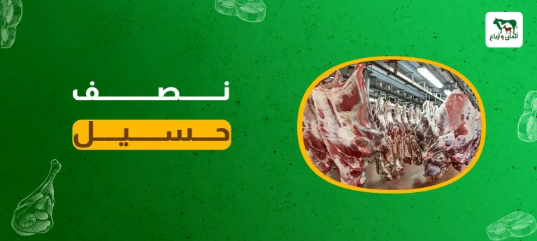 نصف حسيل